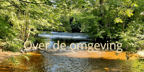 Omgeving