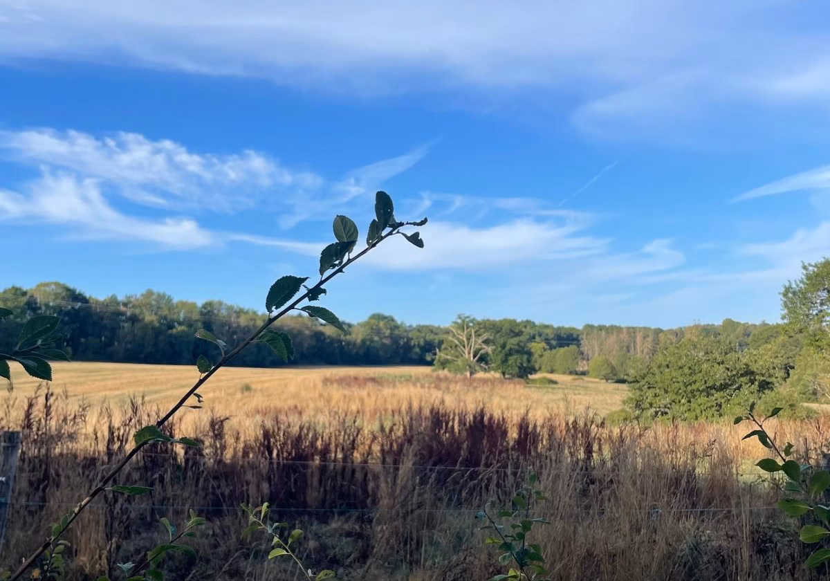Doorkijkje op het land
