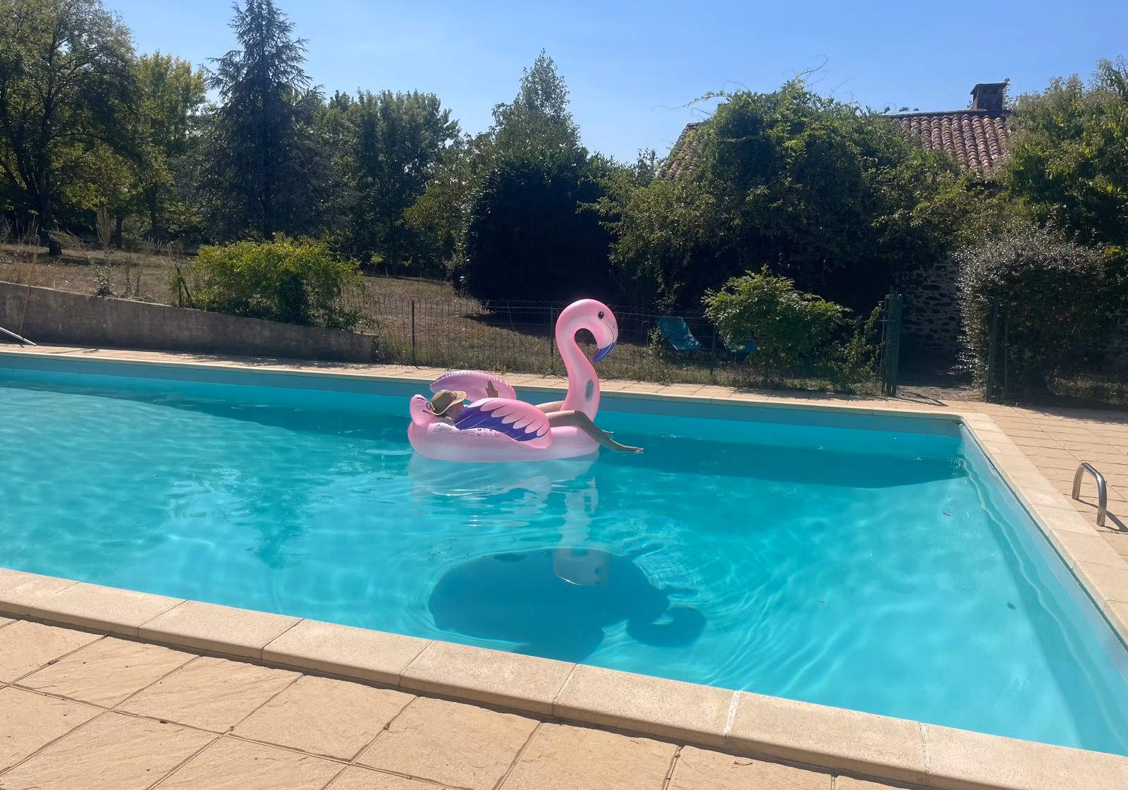 Op de flamingo in het zwembad